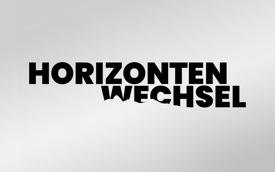 Andreas Palmy, Davos Wiesen: Buchumschlag