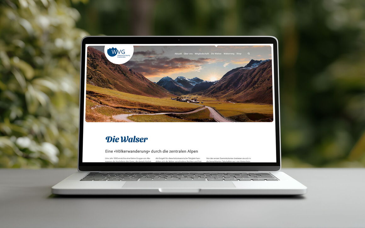 Walservereinigung Graubünden, Chur: Website, Onlineshop