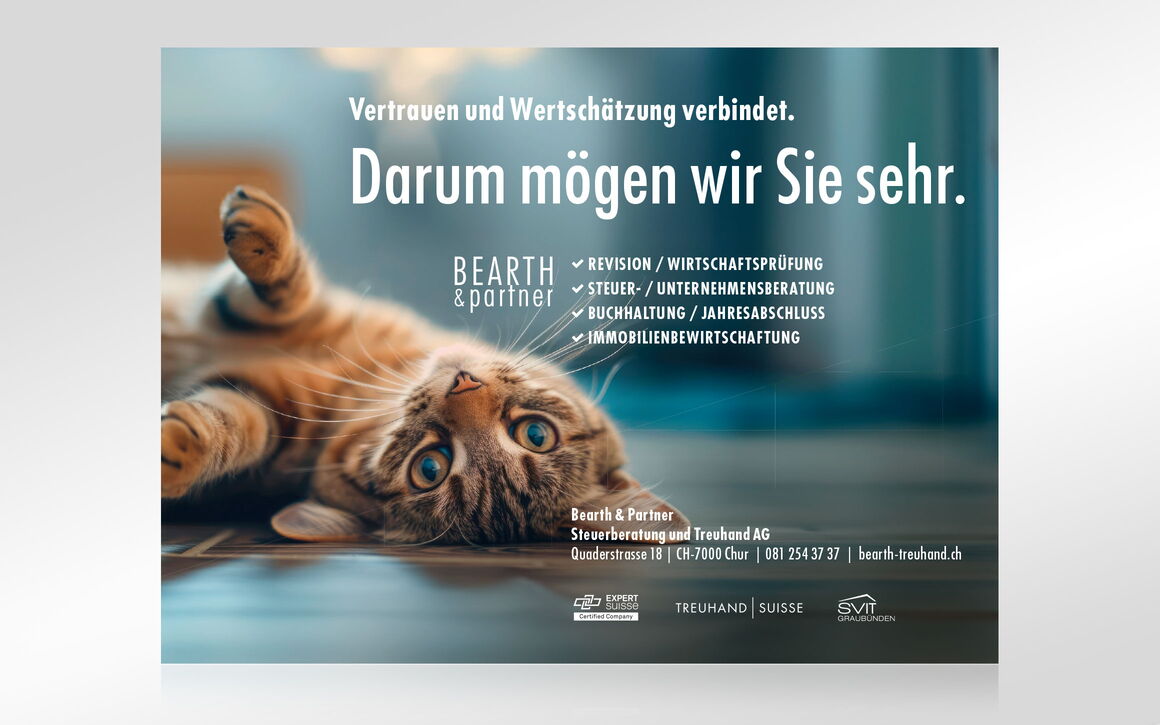 Bearth & Partner Steuerberatung und Treuhand AG, Chur: Inseratekampagne