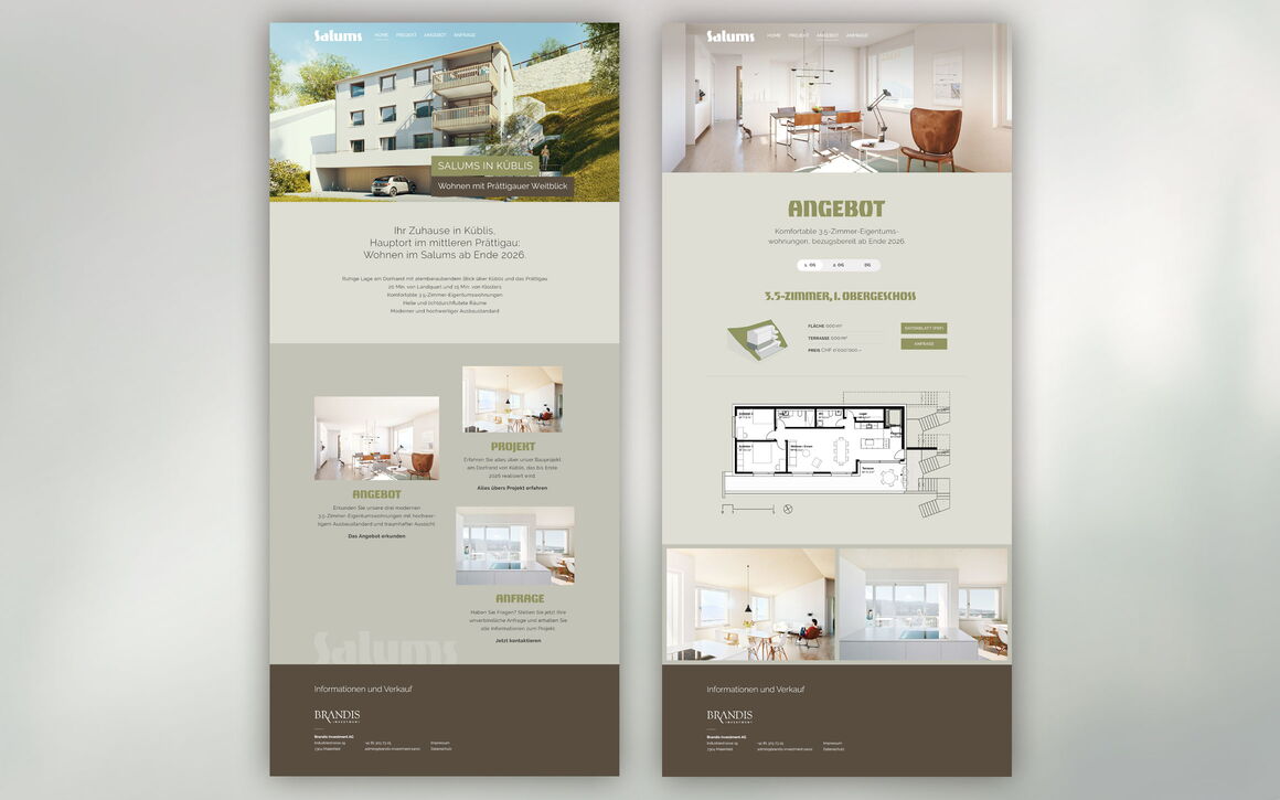Brandis Investment AG, Maienfeld: Logo, Immobilien-Website